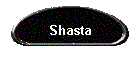Shasta